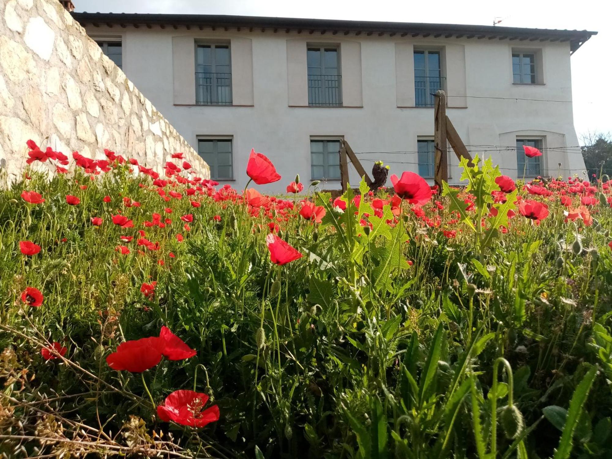 La Chiusa Di Rio Aparthotel Rio dellʼElba Εξωτερικό φωτογραφία